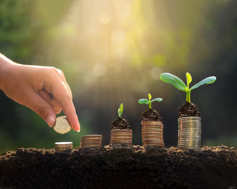 فريق سديم العطاء